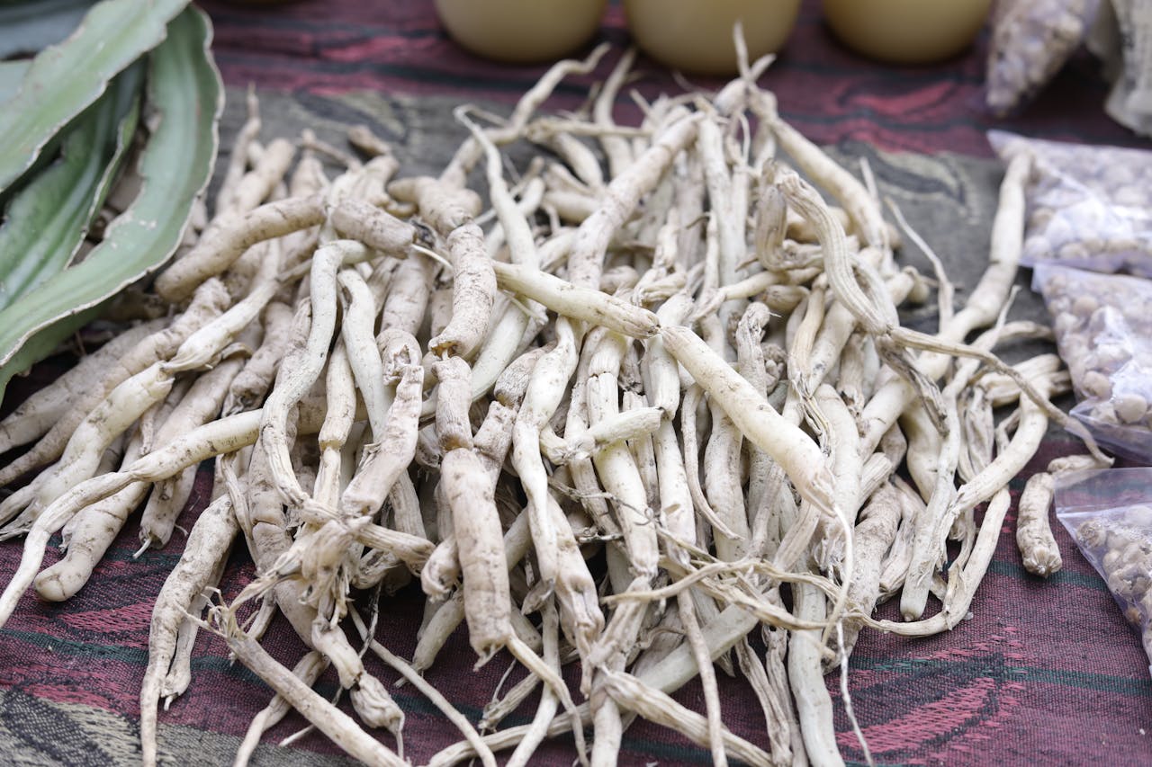 Close-up of dried white musli roots arranged on cloth, showcasing traditional herbal medicine.